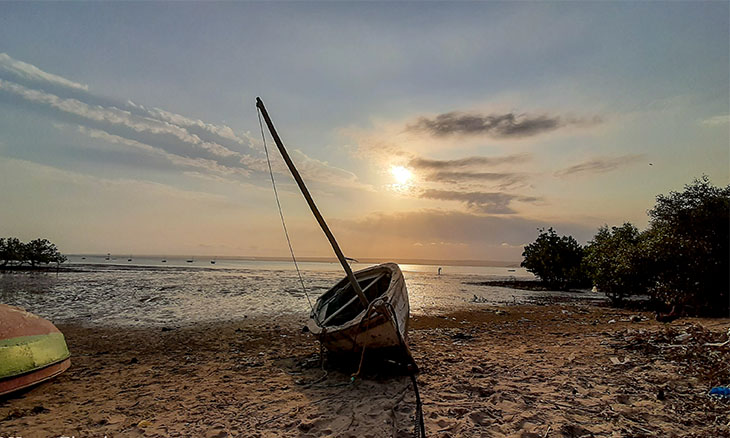 Decretada veda de pesca com recurso à rede por três meses na Baía de  Inhambane - O País - A verdade como notícia