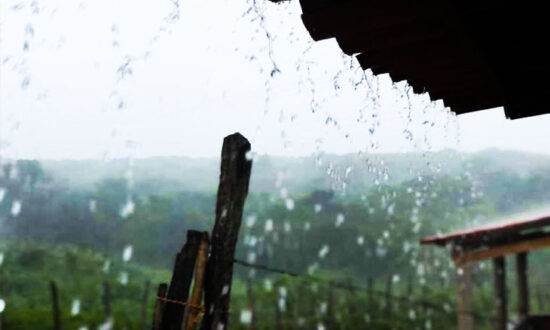 Inam Prevê Chuva Em Todo País O País A Verdade Como Notícia 5914