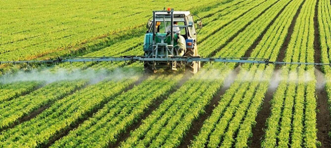 Falta de informação, financiamento e infra-estruturas travam transformação da agricultura em Moçambique